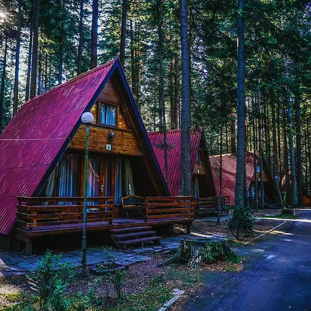 Hotel Yagoda & Malina Borovets